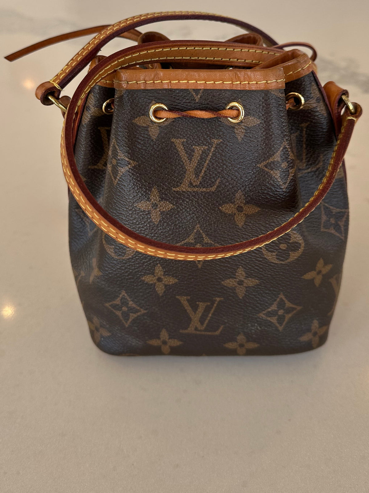 Louis Vuitton Mini Bucket Bag in Brown Monogram