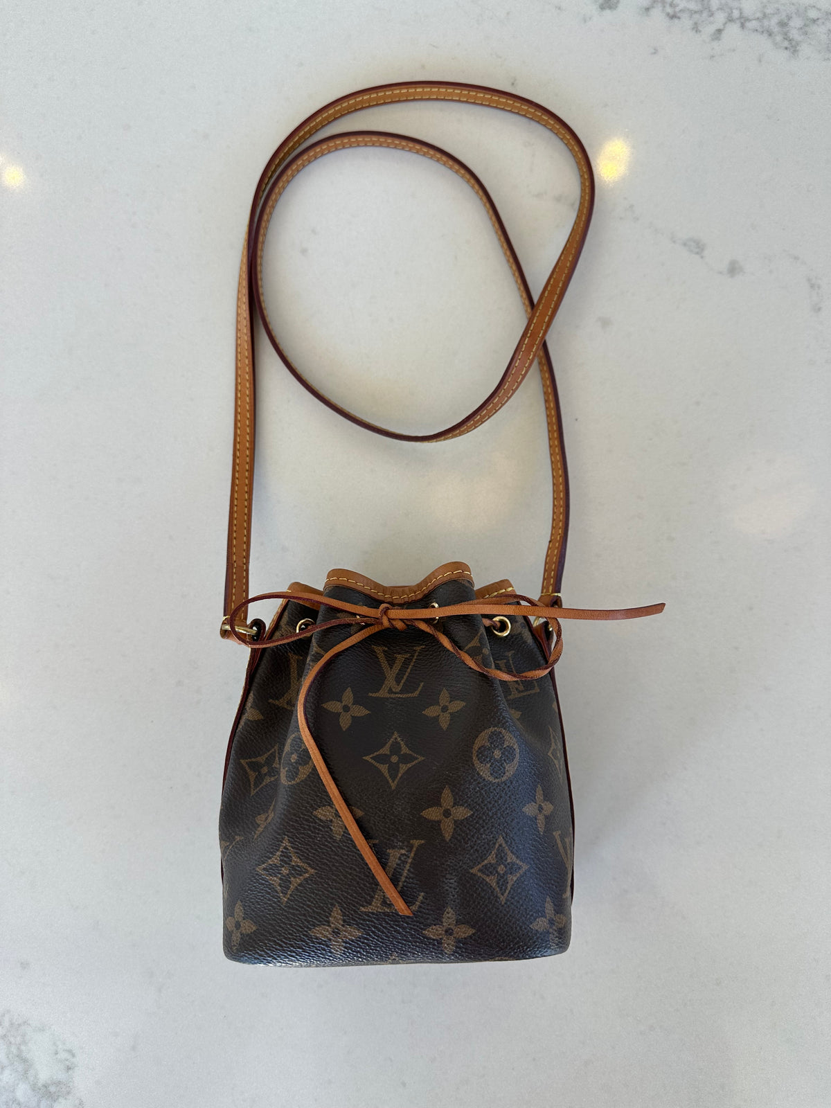 Louis Vuitton Mini Bucket Bag in Brown Monogram