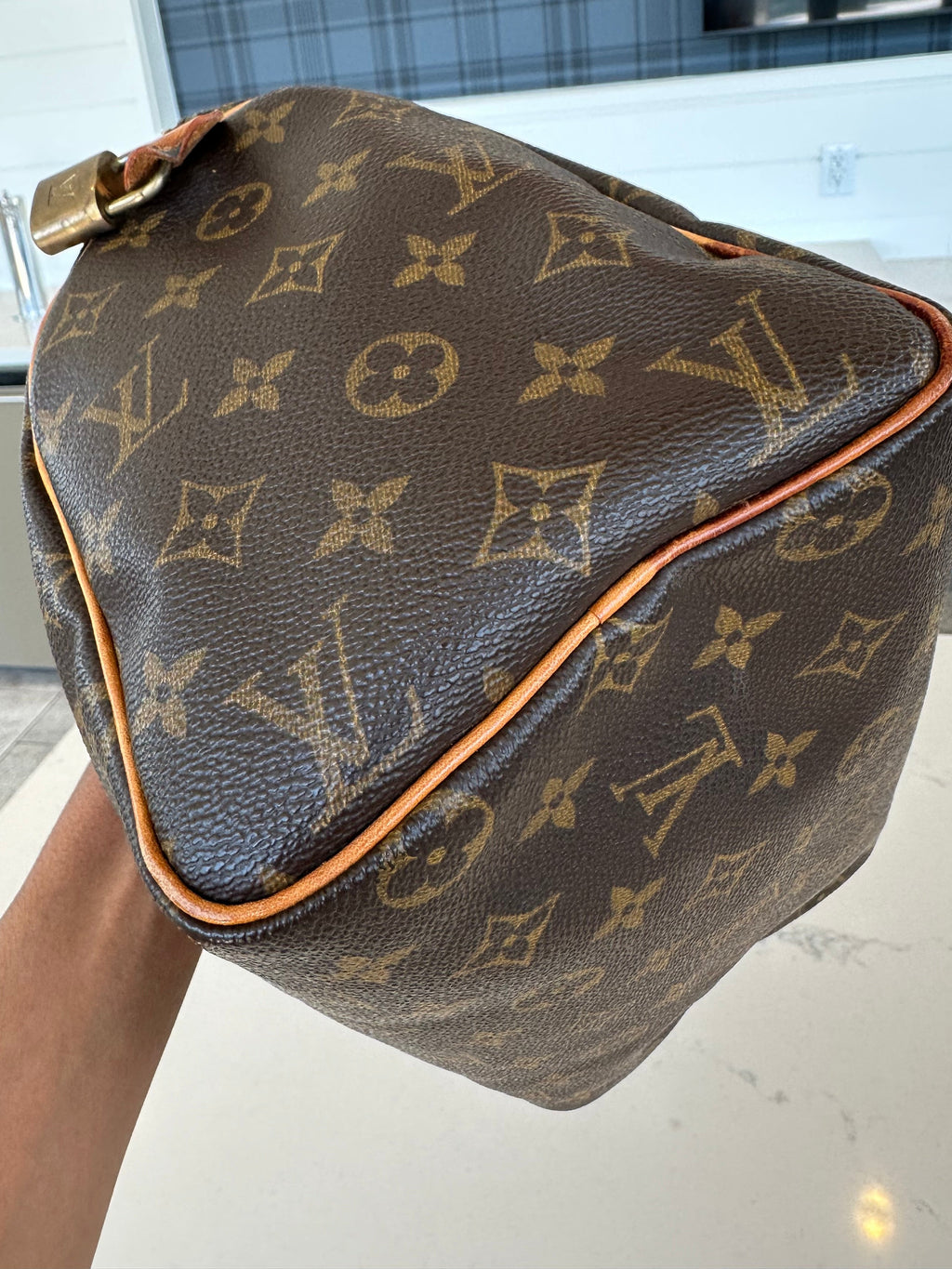 Louis Vuitton Speedy 25 in Brown Monogram