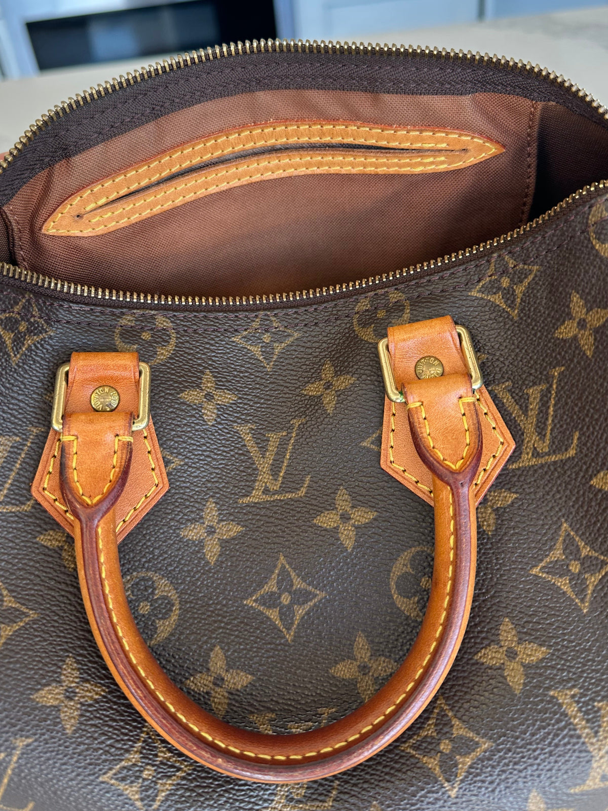 Louis Vuitton Speedy 25 in Brown Monogram