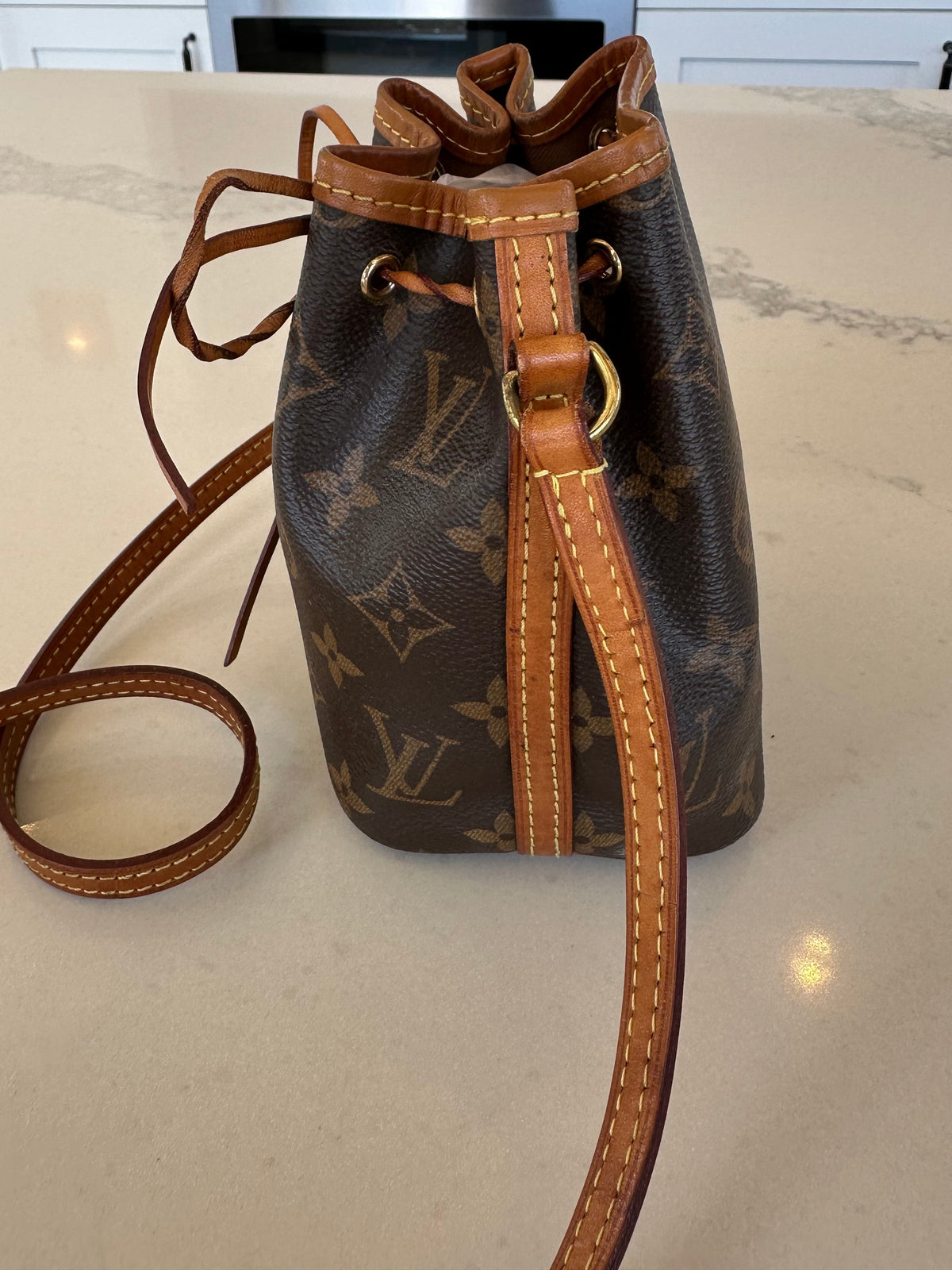 Louis Vuitton Mini Bucket Bag in Brown Monogram