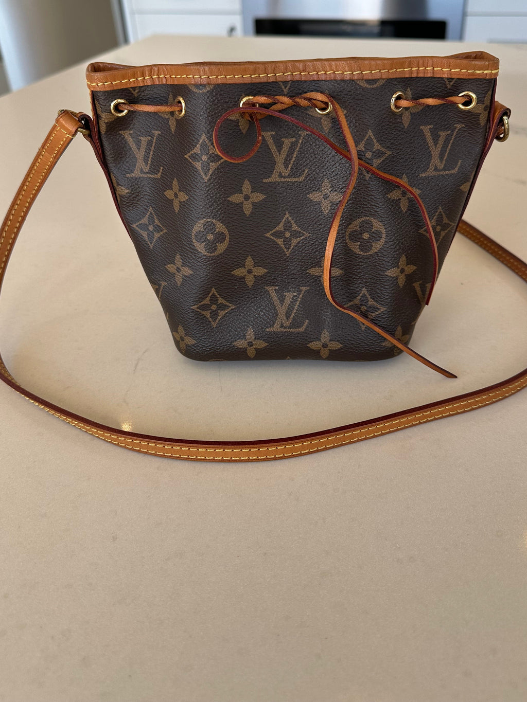 Louis Vuitton Mini Bucket Bag in Brown Monogram
