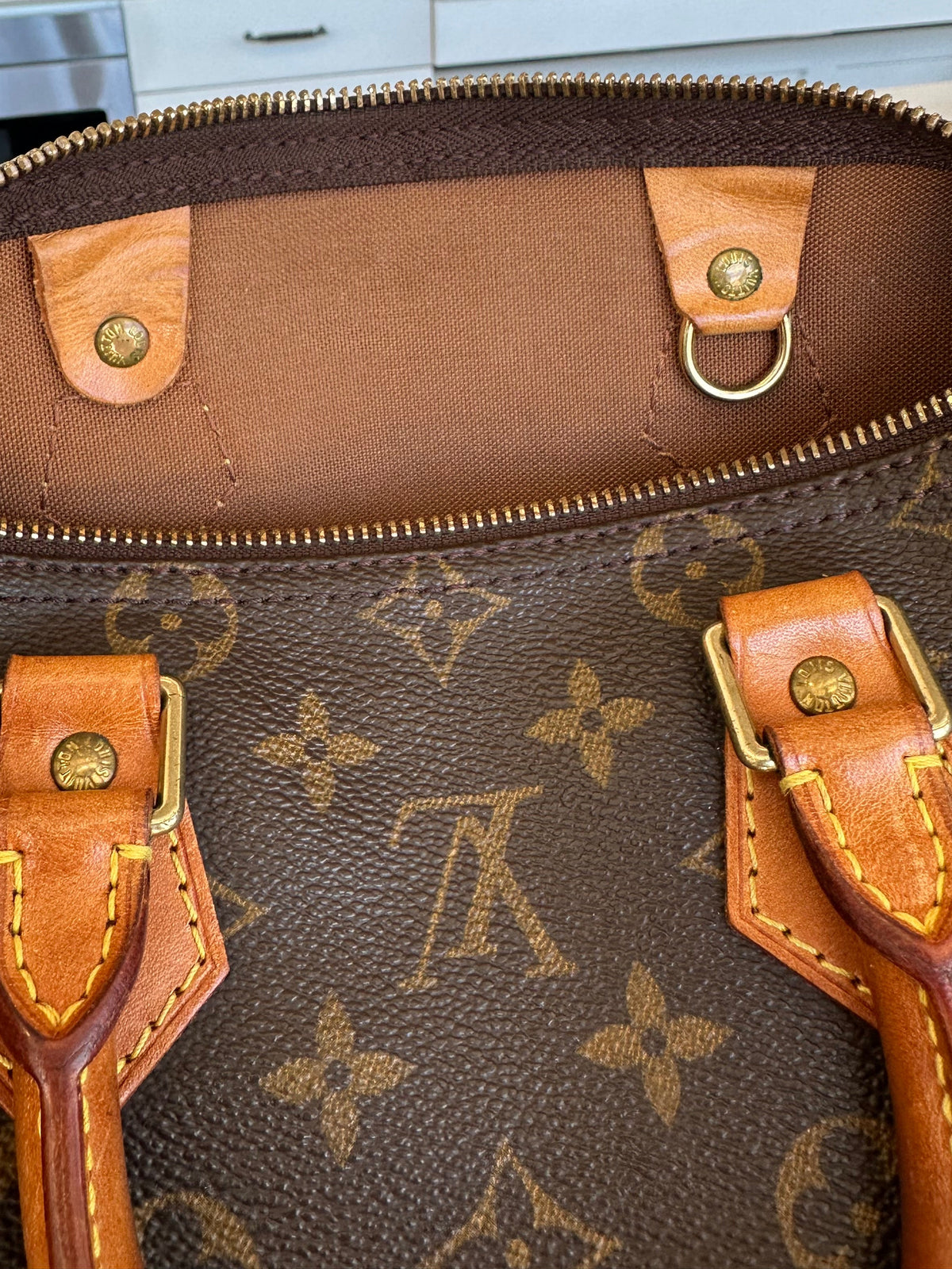 Louis Vuitton Speedy 25 in Brown Monogram