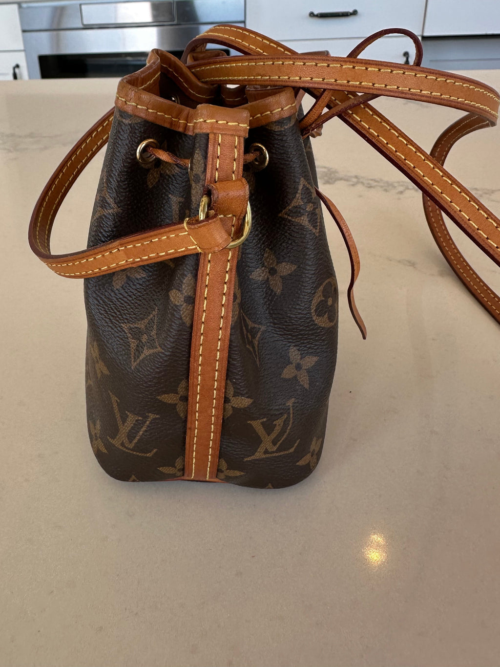 Louis Vuitton Mini Bucket Bag in Brown Monogram