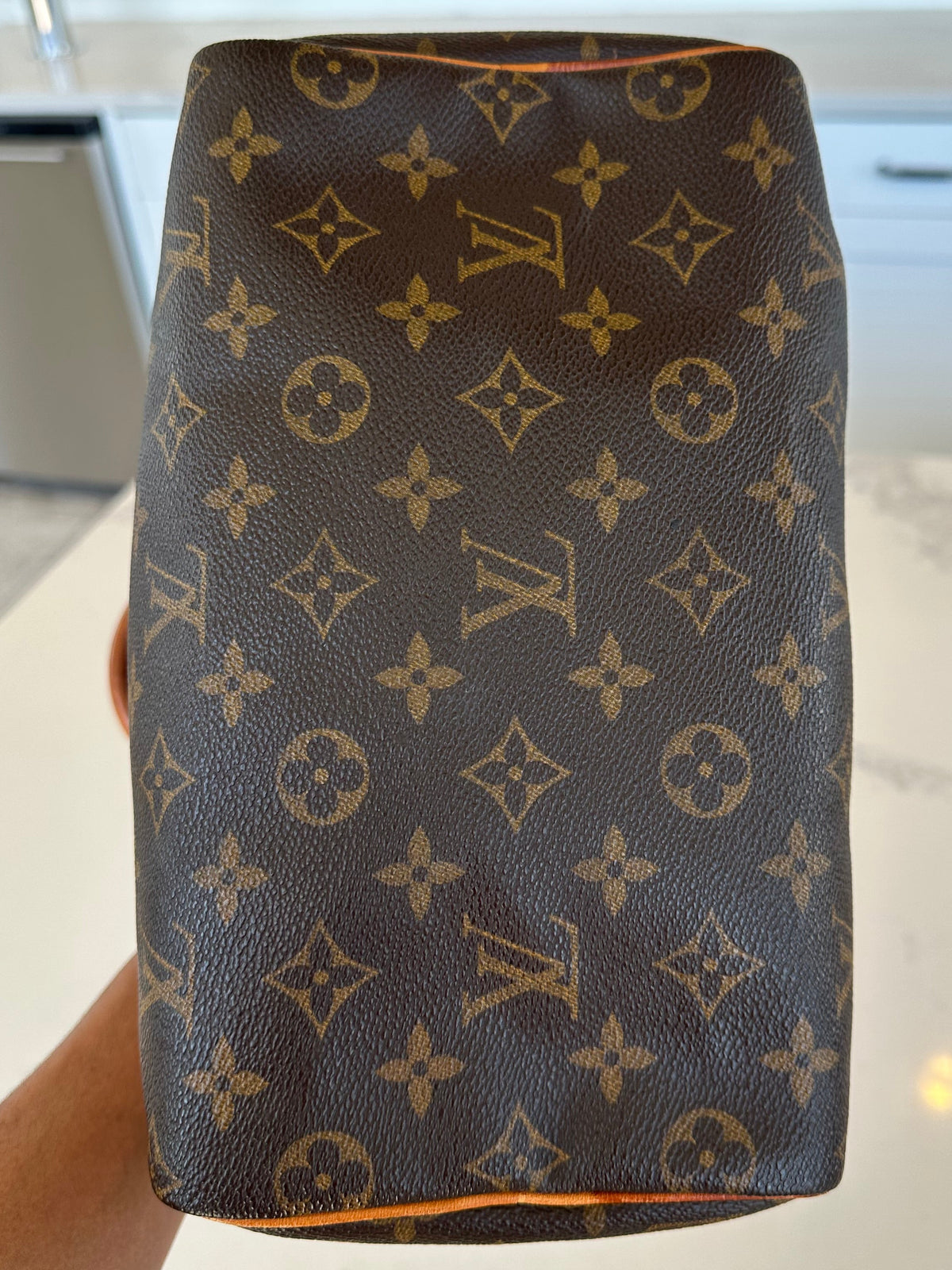 Louis Vuitton Speedy 25 in Brown Monogram