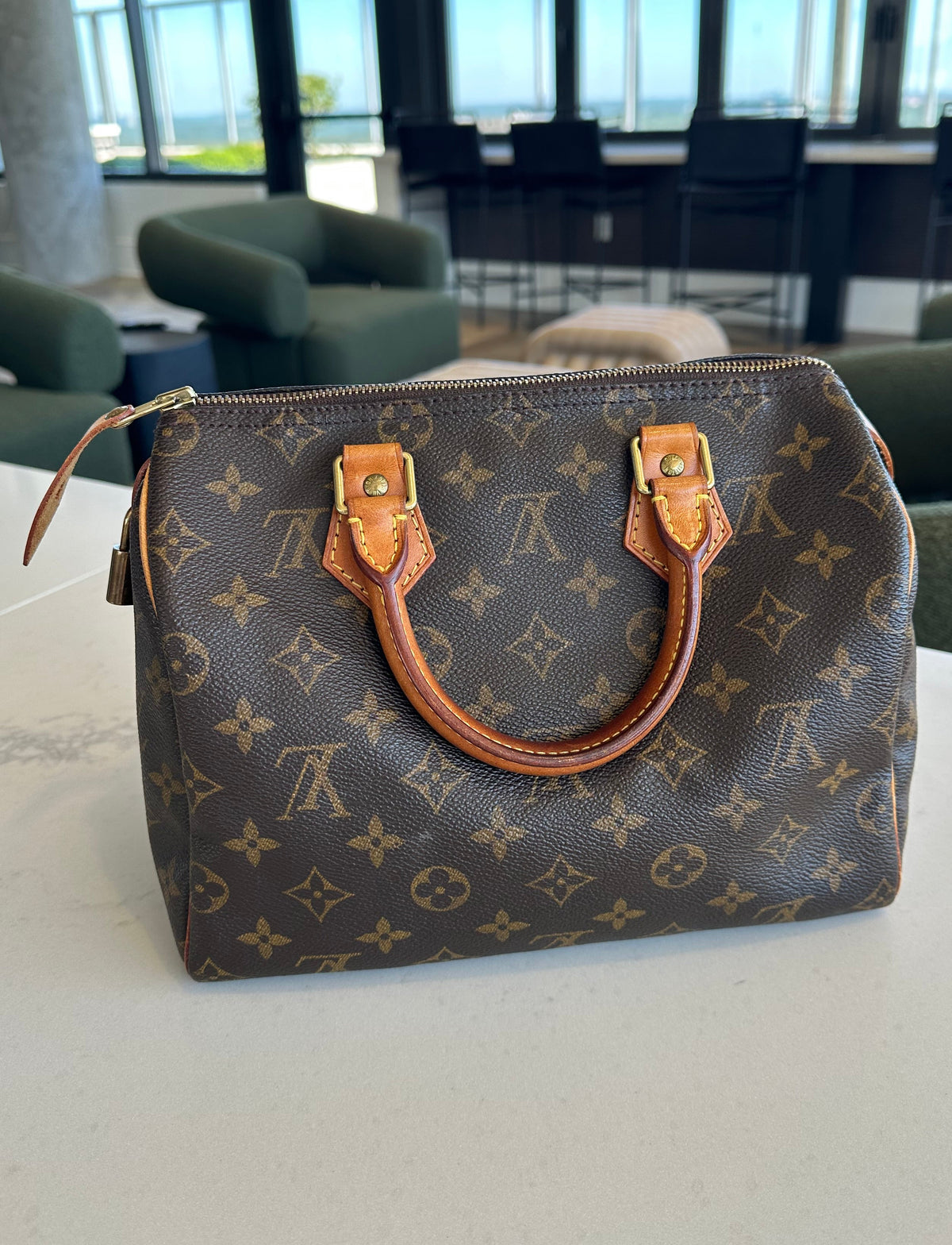 Louis Vuitton Speedy 25 in Brown Monogram